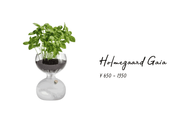 holmegaard gaia 自吸水花瓶