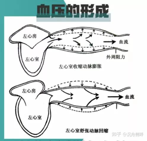 如何看待高血压年轻化如何有效预防高血压的发生