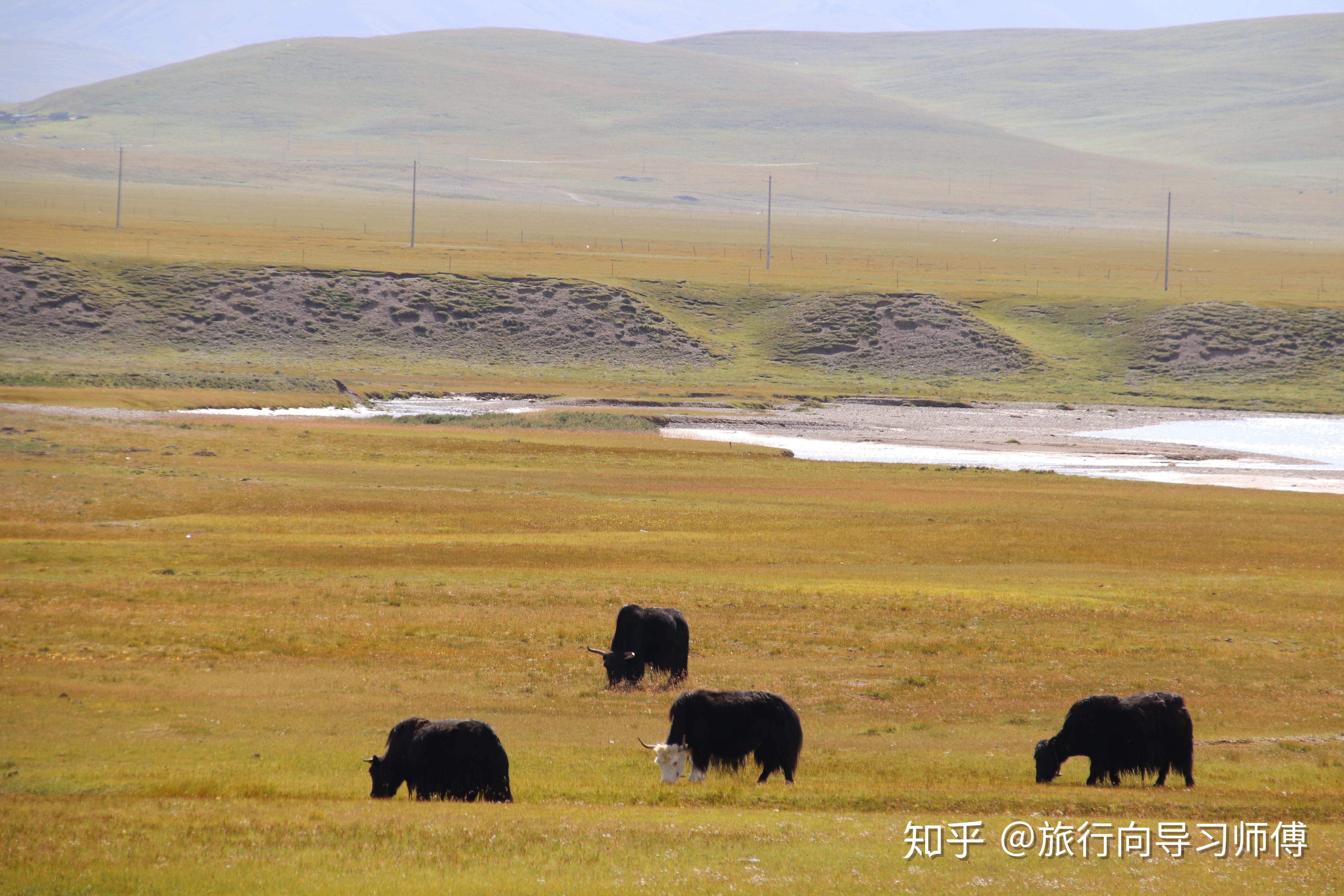 甘南旅游游最佳路线推荐,九色甘南最美景点都在这里.