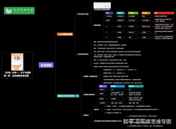 高中生物必修一第一章思维导图高一知识框架图