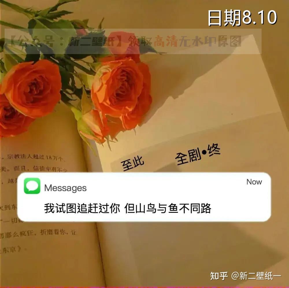 我师徒追赶过你但山鸟与鱼不同路图片抖音热门朋友圈封面壁纸背景图