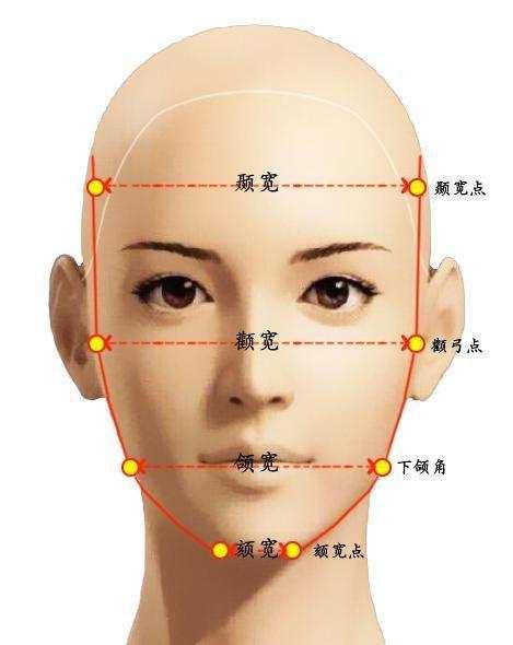 5厘米,颧弓,下颌角到下颏,构成了面部的基础面.我们把它叫"后脸.