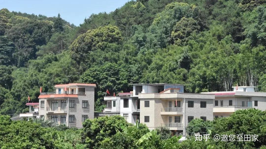 阅览云浮先辈们用鲜血换来如今的山清水秀