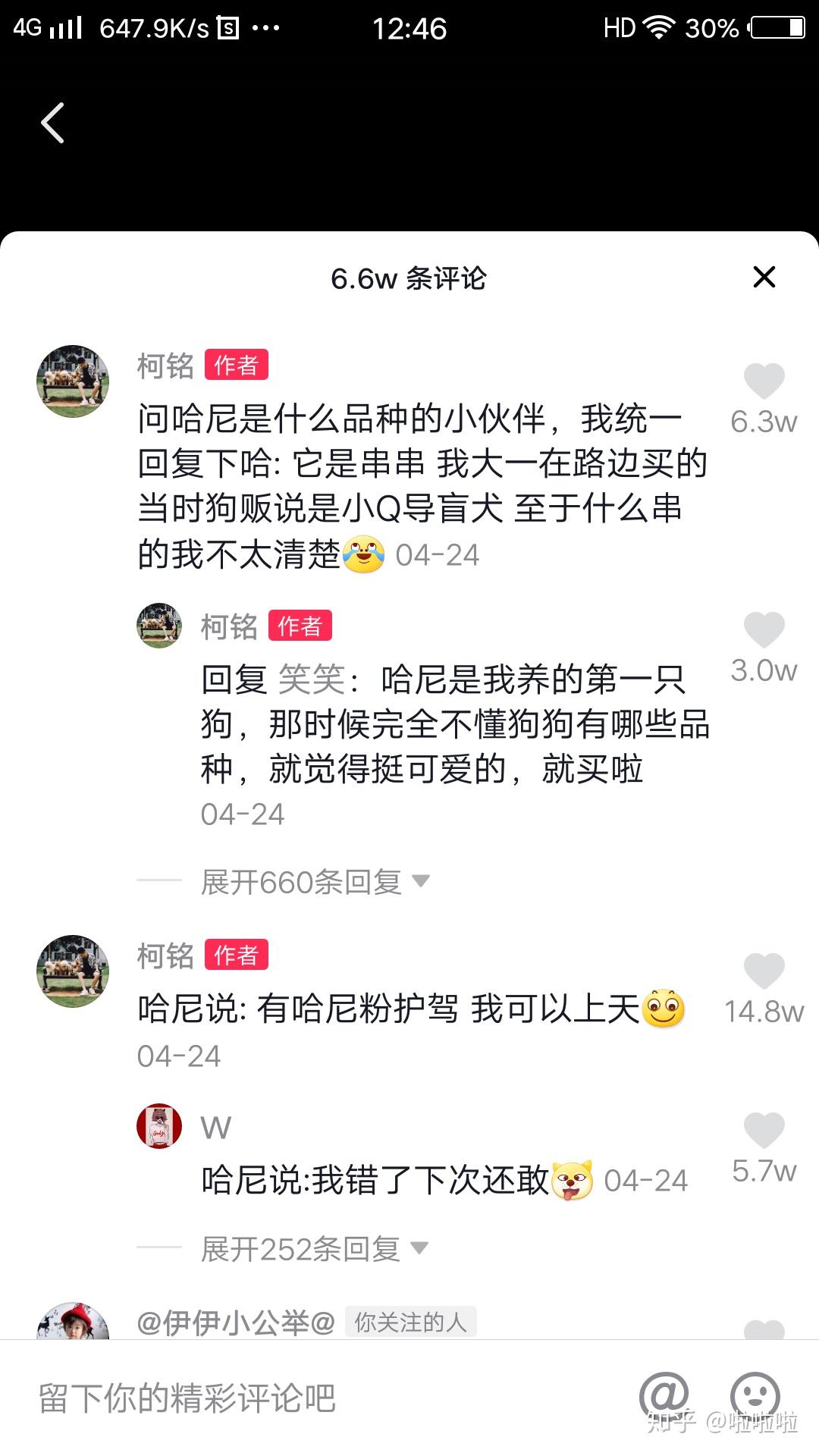 柯铭的哈尼是什么品种