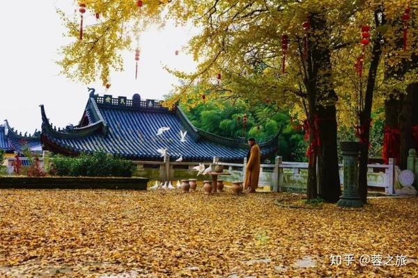 仙顶寺是湖州四大古寺之一 ,位于湖州市西贤山(湖州高铁站后),距离