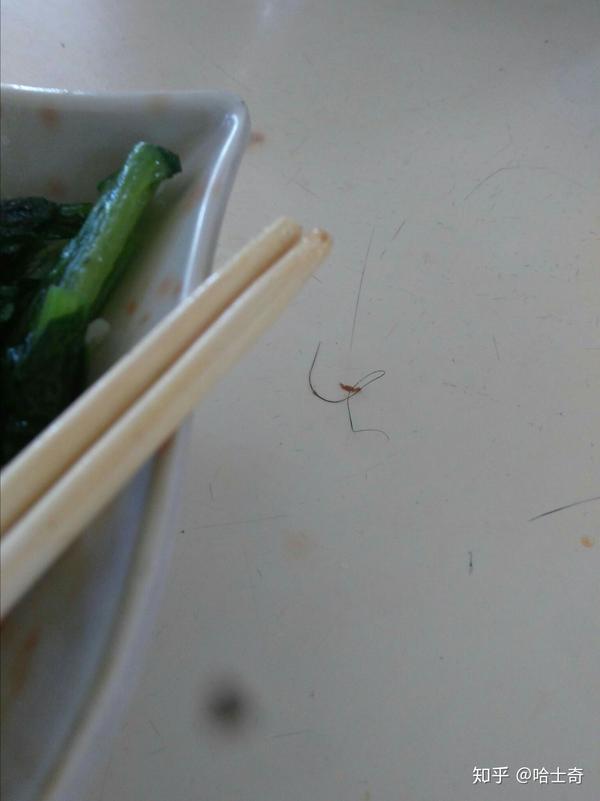 在食堂吃饭,吃到过一根毛