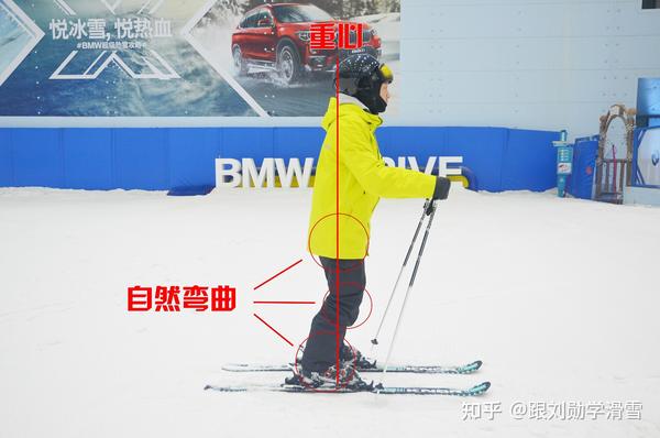 自学双板第一课认识双板