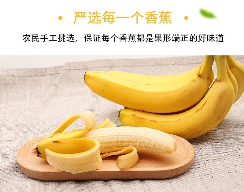 好水果丨香甜软糯生长在原始森林的香蕉到底有多独特