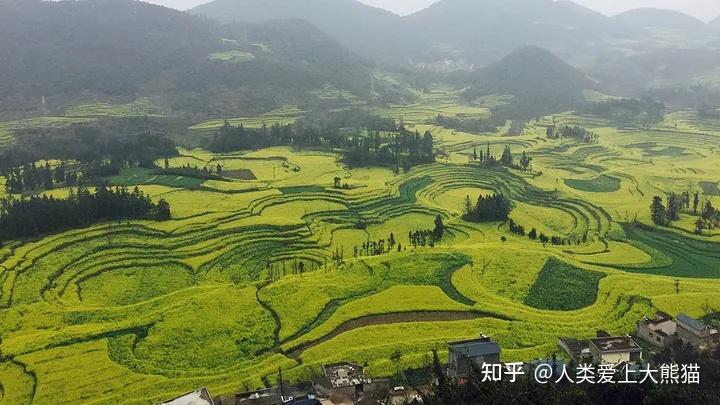 云南罗平3个最佳赏花地标罗平住宿攻略罗平住哪里好罗平住宿推荐