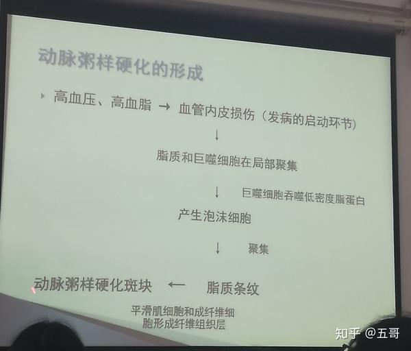 就不解释这个疾病了,最厉害的两个是冠状动脉粥样硬化和脑动脉粥样