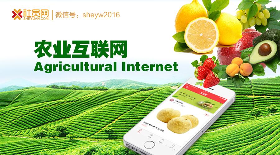网络农场推广 zhuanlan.zhihu.com