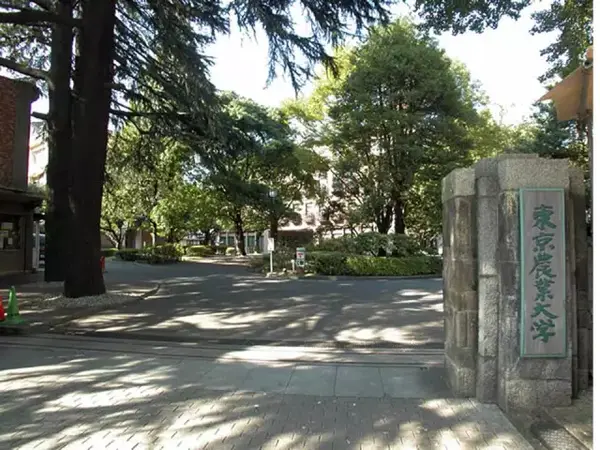 5.东京农业大学