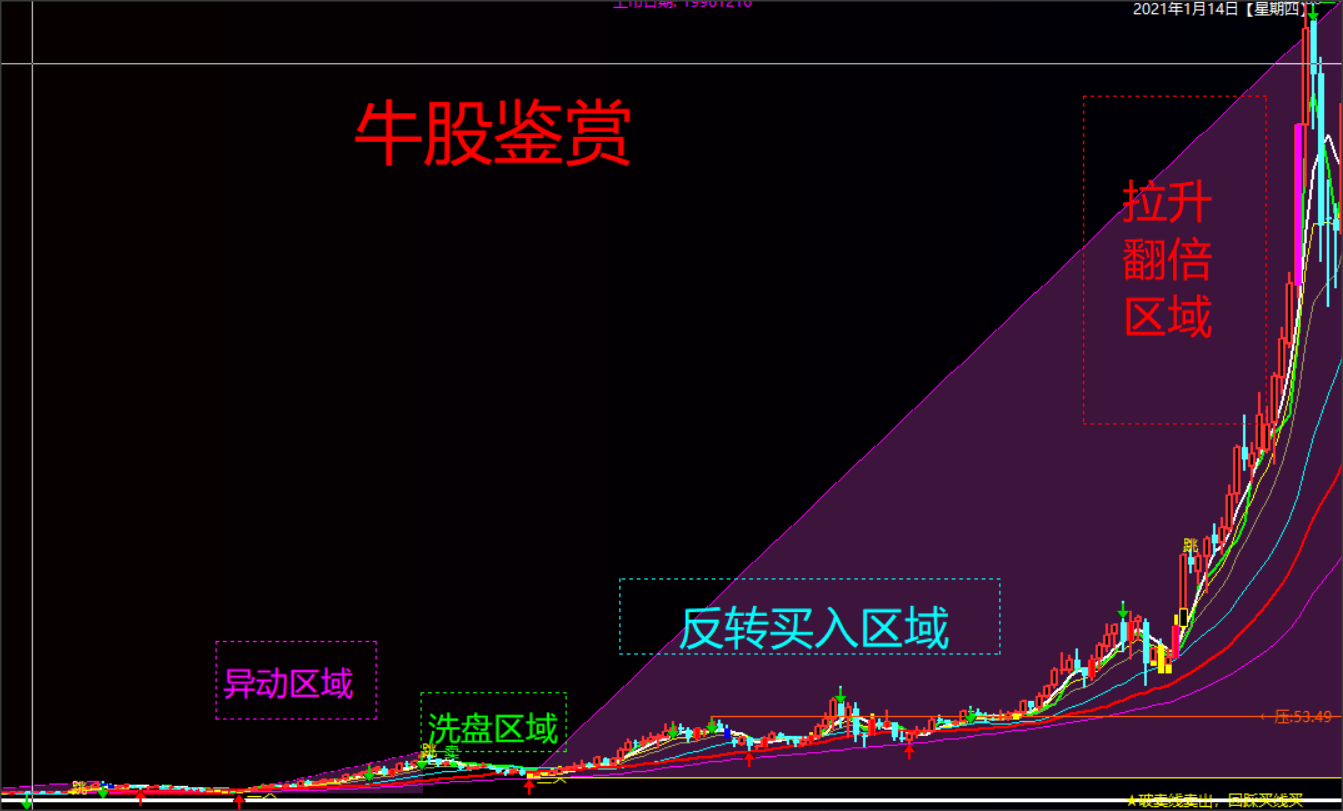 机构抱团股票已经高估了小市值股票才是散户应该拥抱的