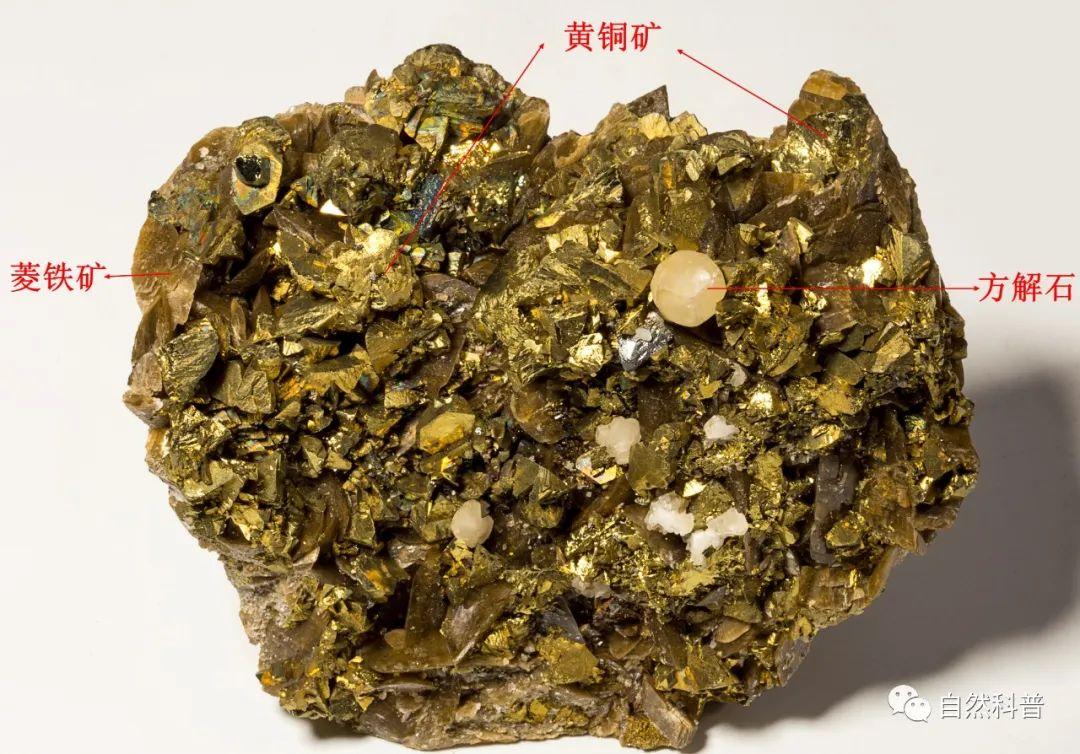 收藏于中国地质博物馆狗头金有什么用途狗头金是重要的金矿石,可以