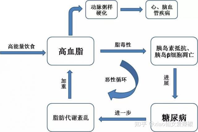 蛹虫草在高血脂肝硬化抗癌抑郁症等临床领域的研究与应用