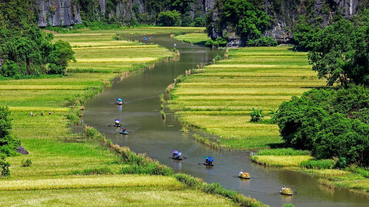 恩哥洞河两岸的稻田美景,越南宁平省