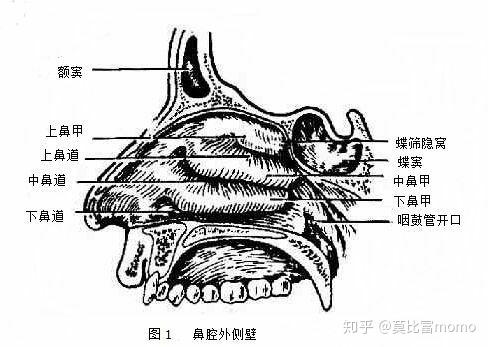 鼻粘膜糜烂鼻子经常流鼻血怎么办