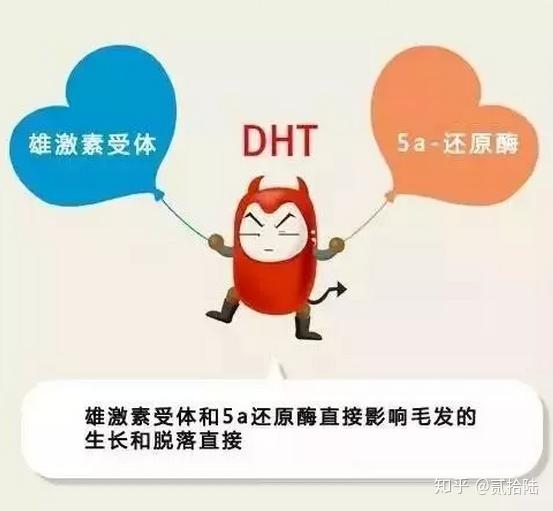 男性雄性激素脱发治不好是你不知道这些事
