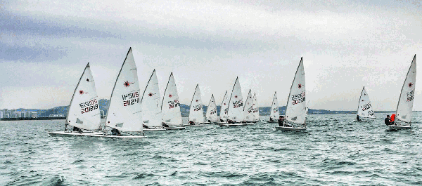 碧湖,蓝天,白帆 菱湖湾码头整装待发的游艇,帆船 日光下,在大美