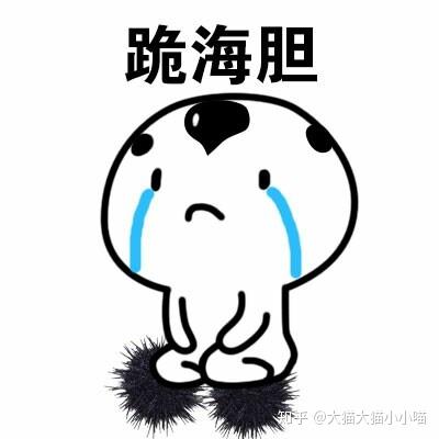 对不起我错了,下次还敢