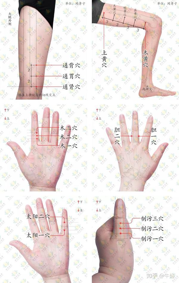 妙手莲华:孩子手脚发黄的常见原因及应对