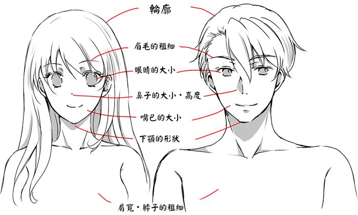 如何画好男性和女性的脸型