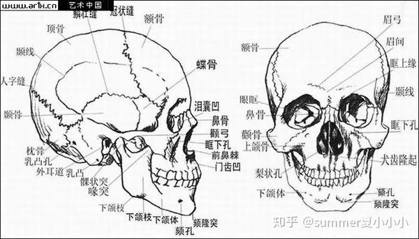 脸型整容包含几项: 颧骨整形(包括颧骨和颧弓),下颌角整形(包括下颌