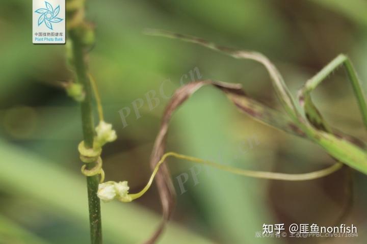 v2 6aa6d242a1cf875ca608fe6d89636c12 720w