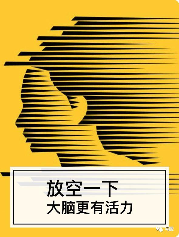 自由职业,公众号:wuyuan355 30,本书总结 让大脑放空的最好方式就是