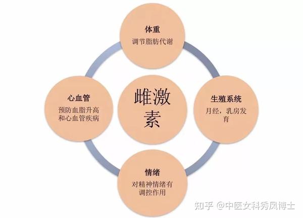 子宫肌瘤:确切病因不明,可能与体内 雌激素水平过高,长期受雌激素刺激