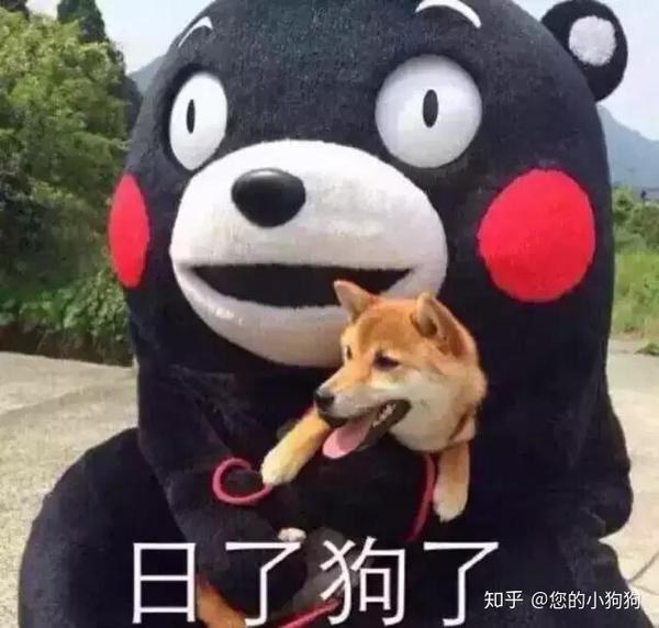 救救我,我快被"狗屁"折磨哭了!