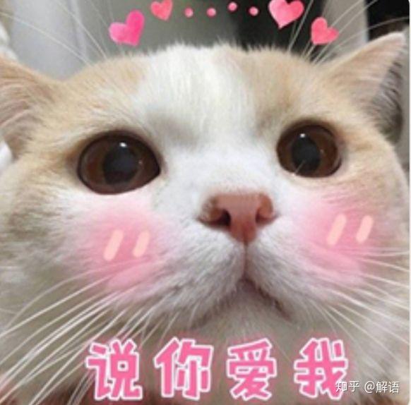 有哪些哄男朋友的可爱的表情包?