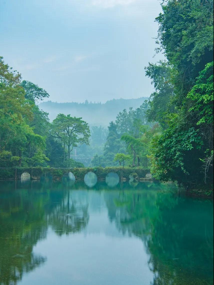 荔波茂兰至今保存着世界上面积最大的喀斯特原始森林.