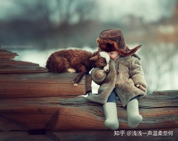 有什么特别治愈的音乐,视频或图片?