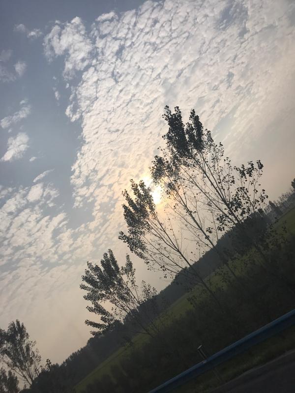 坐车回家的随手拍