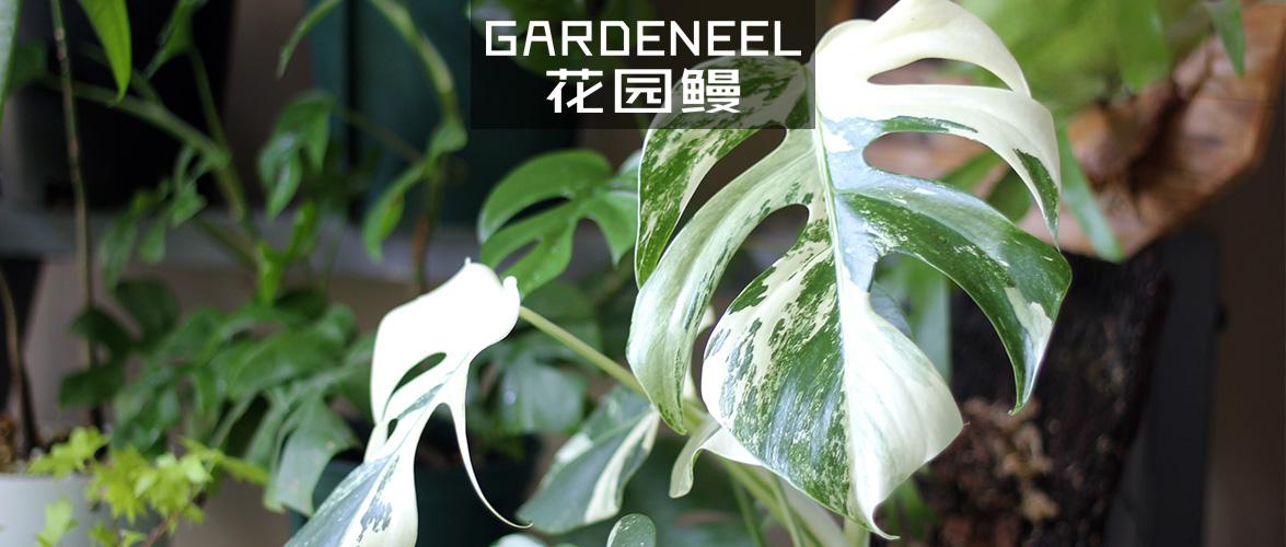 首发于欢迎来找我们:b站/公号,gardeneel花园鳗 274 人 赞同了该文章