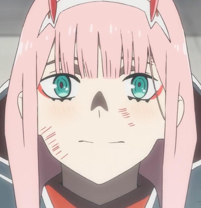 darlinginthefranxx1922集02头像合集