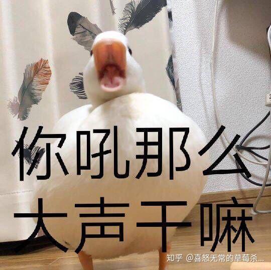 有没有很凶的表情包?
