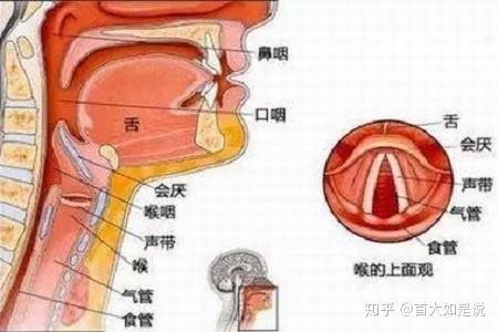 首大计成:咽喉息肉一定要手术切除吗