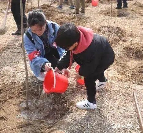 携手西点一起种下绿色希望3月植树节亲子活动来袭