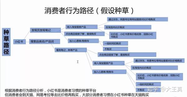 小红书怎么投放产品种草变现路径解析