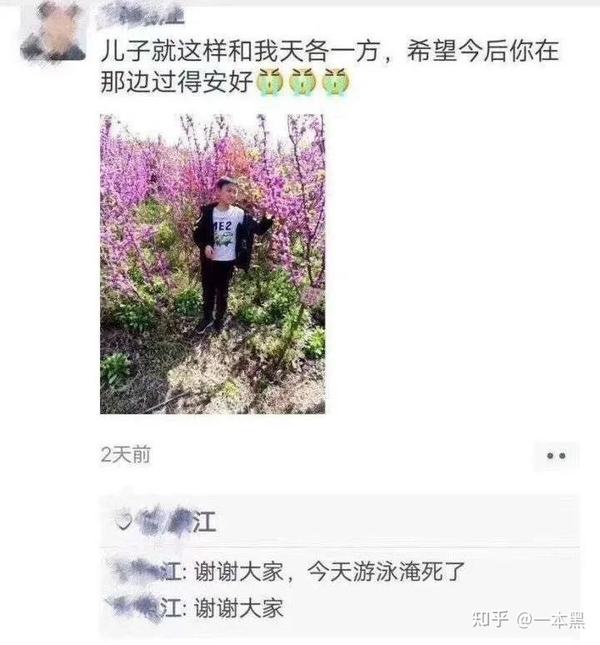 网络孝子真尼玛离谱