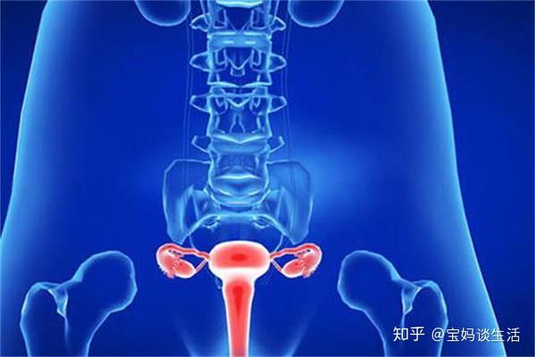 产后子宫的恢复