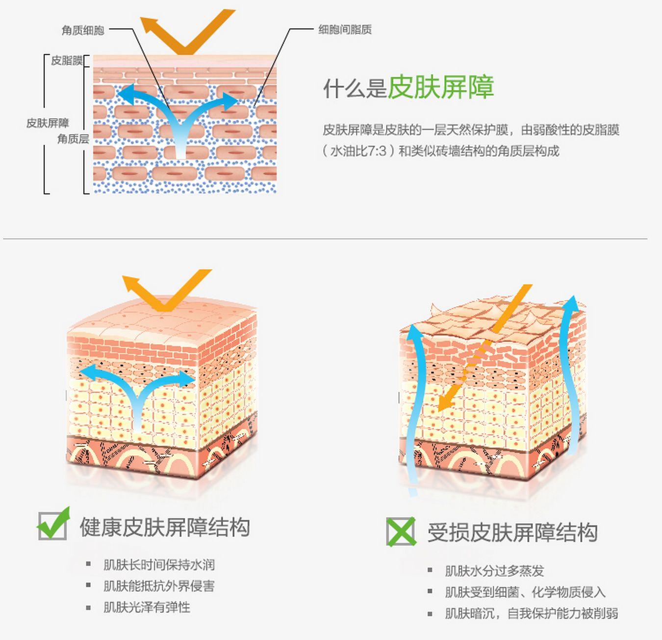 皮肤作为我们身体的第一道防线可是却总被大家给忽略