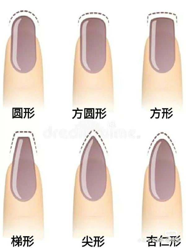 1,椭圆形美甲oval 中央向两侧为椭圆形的指甲,是外形最为优雅的一种甲