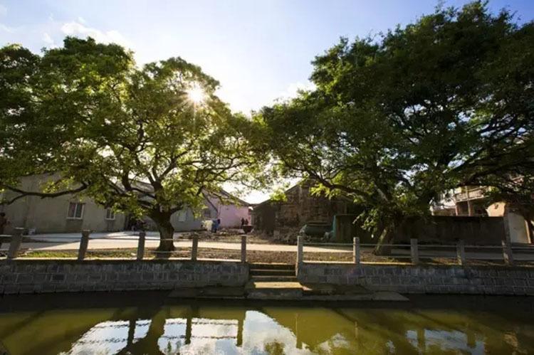 来咸祥赏美景吃海鲜6南头村