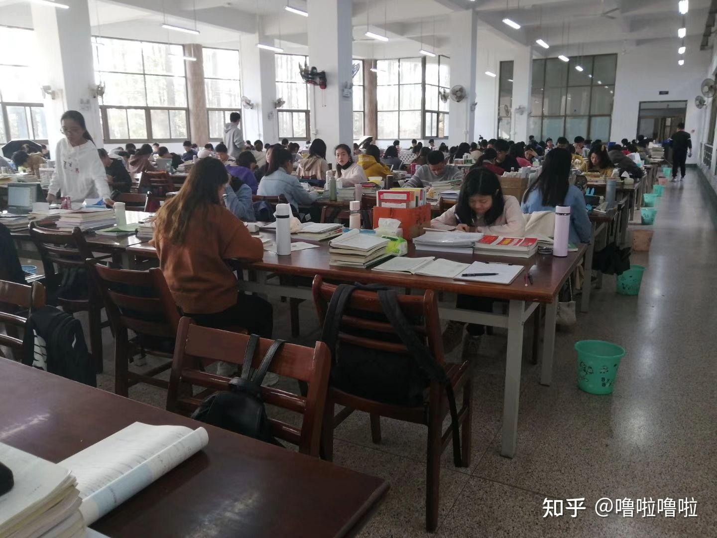 景德镇陶瓷大学的图书馆或教室环境如何?是否适合上自习?