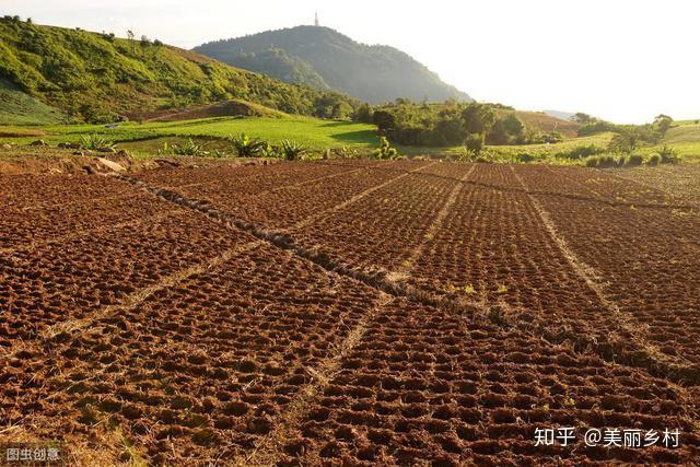 土地承包再延30年无地农友怎么办真要等30年才能有地