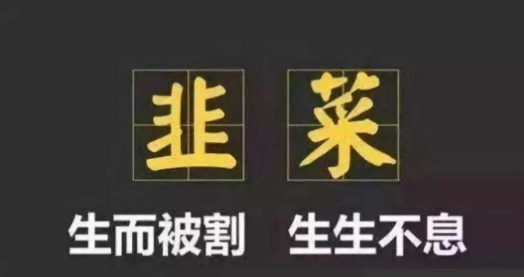 从"韭菜"到"过街老鼠",特斯拉车主做错什么了?丨问答