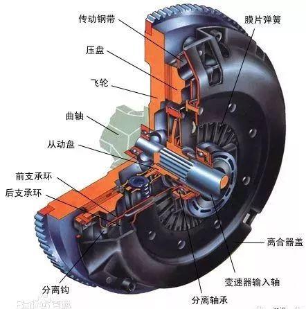 高拔华就截拳道为读者答疑